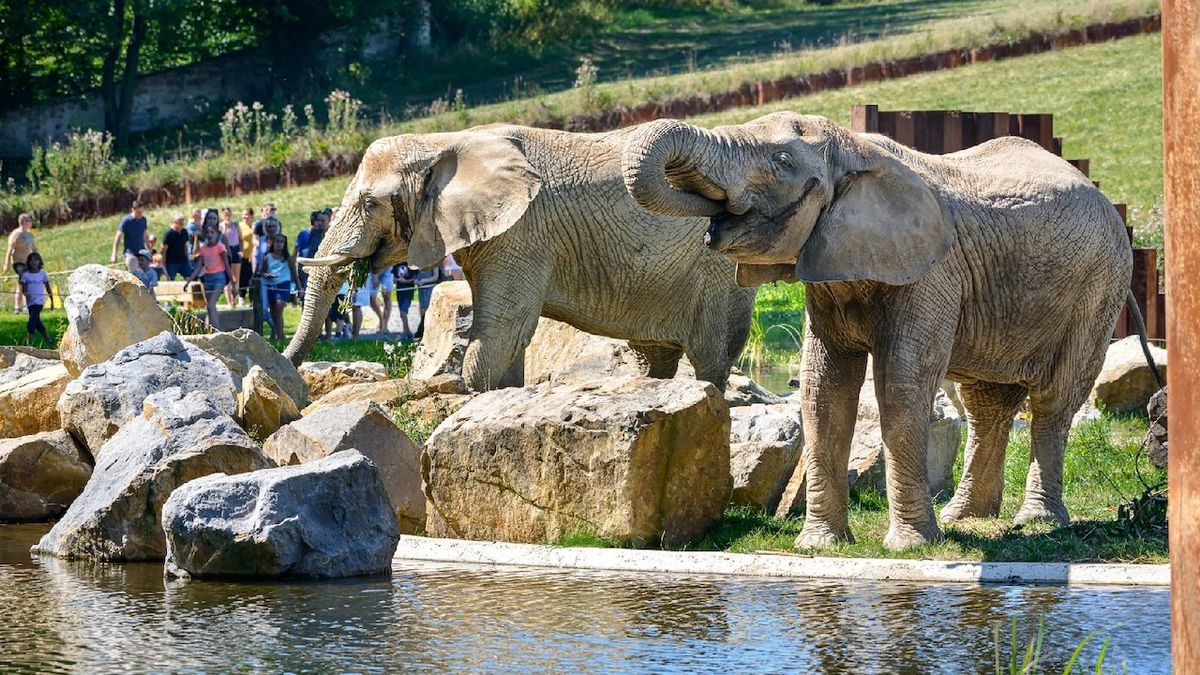 Zlínská zoologická zahrada byla loni pátým turisty nejnavštěvovanějším místem v Česku